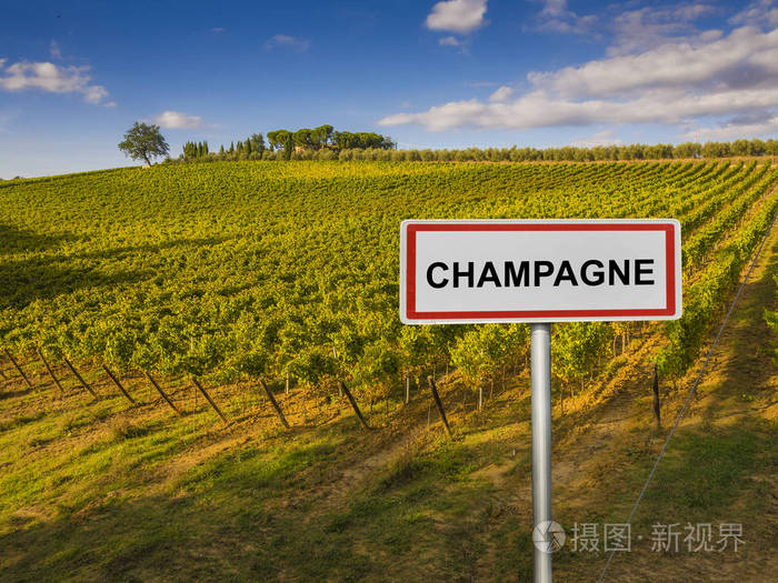 法国香槟葡萄酒地区