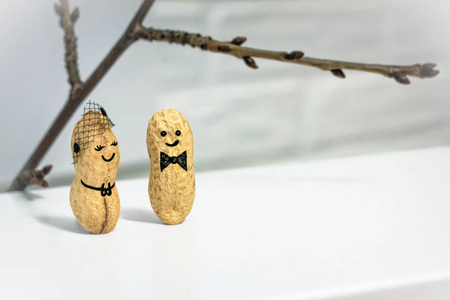 邀请.爱的概念.婚礼.在晚上的日期.创意手工制作从坚果一对天作之合.