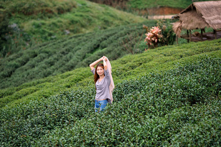 亚洲游客女人在 doi 安康山区茶叶种植园农场