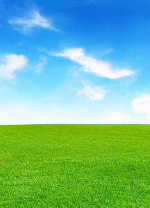 绿色的草地和着朵朵白云的蓝天