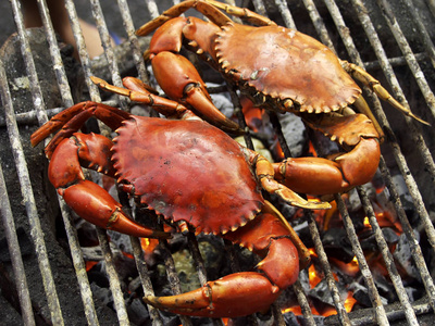 螃蟹烧烤图片