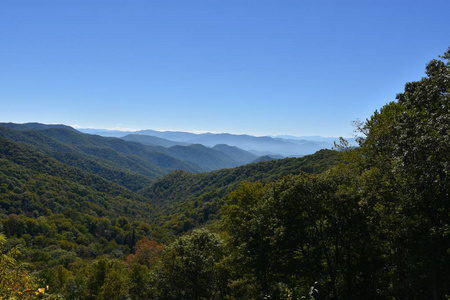 在田纳西州大烟山国家公园