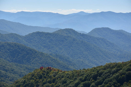 在田纳西州大烟山国家公园