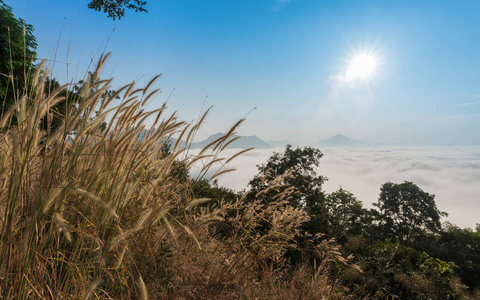 海的 Phu Thok 山雾