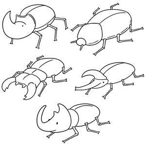 向量集的甲虫