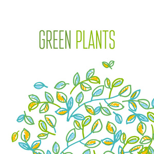 绿色的树叶设计元素在手绘制轻松的风格为页眉 卡 标题 婚礼邀请。脆弱的嫩枝叶矢量图