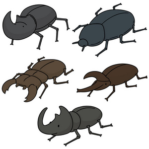 向量集的甲虫