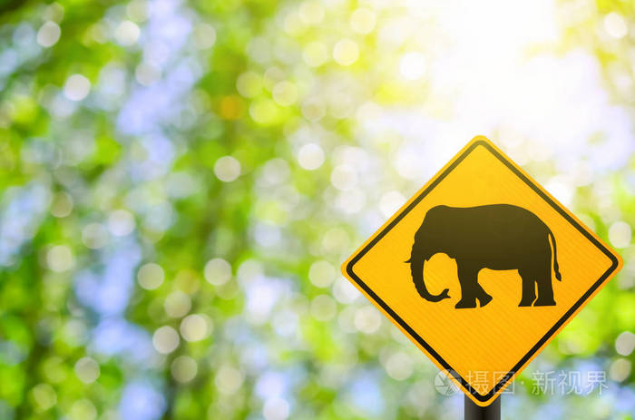 交通标志 大象警告标志上自然绿色散景的阳光 flare，模糊叶抽象背景