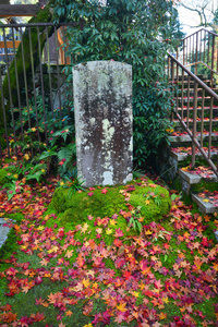 秋景与石碑在日本京都传统花园。
