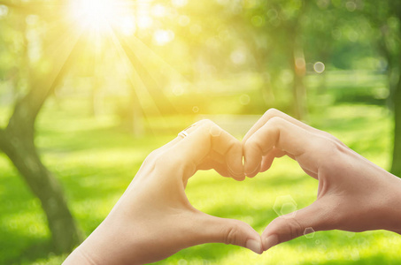 女手心里自然绿色散景太阳轻弹上的形状和模糊叶抽象背景照片