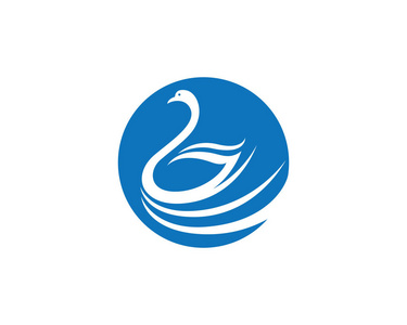 天鹅 logo 模板照片
