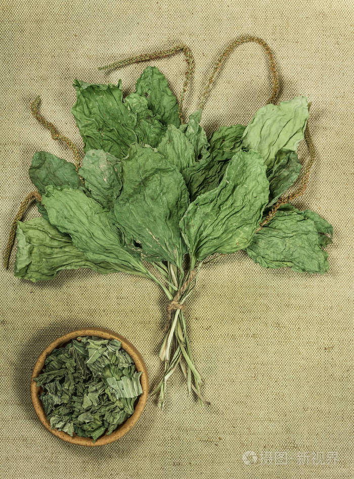 中草药,植物药用 h