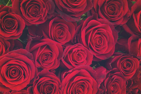 深红色玫瑰花束