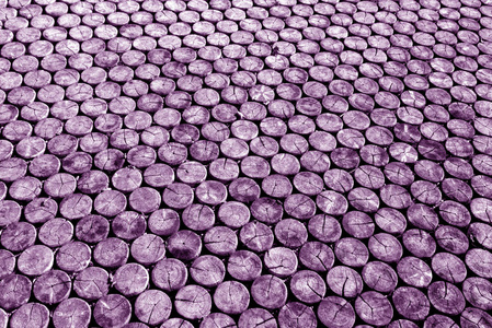 木木木地板在紫罗兰色的口气图片