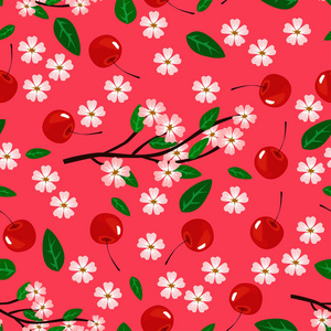 无缝背景与浆果和樱花。模式