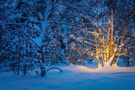 与花环温暖的灯光在晚上下雪的冬天森林里的树