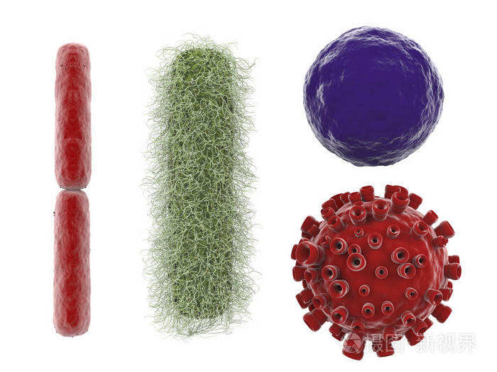 各种病毒和细菌在白色