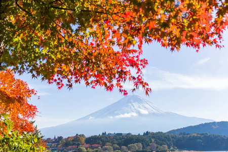 富士山在秋天的季节