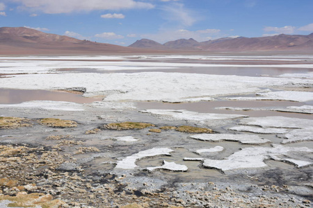 景观和盐沼湖在智利的阿塔卡马沙漠