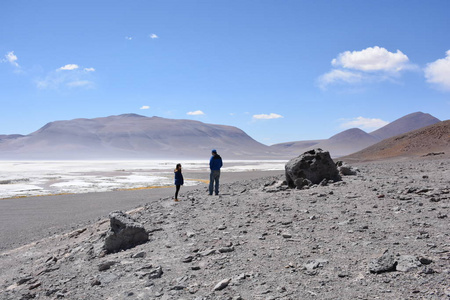 景观和盐沼湖在智利的阿塔卡马沙漠