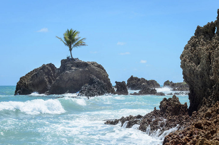 迷你岛上有一棵椰子树, 周围是海水和一些岩层中的天堂风光, 非常美丽的一天
