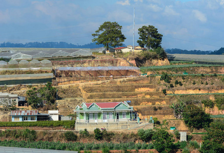 越南达拉特有农场的房子。 达拉特是越南最好的旅游城市之一。