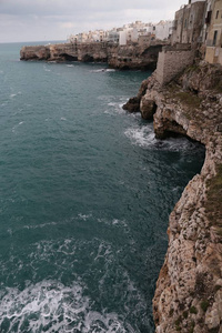 polignano 一匹母马