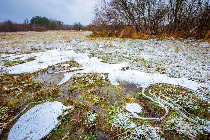 冬季草甸与冷冻水洼