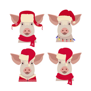 在冬季红色新年服装矢量猪头