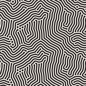有机的不规则圆形的线条.矢量无缝黑色和白色花纹照片