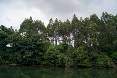 埃奥河