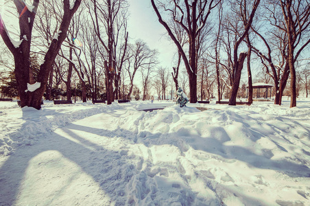 城市公园在雪之下