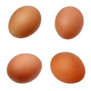 棕色鸡蛋隔离