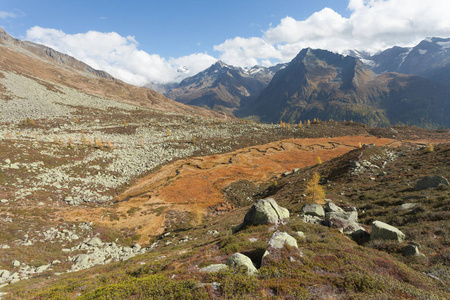 在秋天在 Ahrntal 意大利 流动的一条河像一条蛇