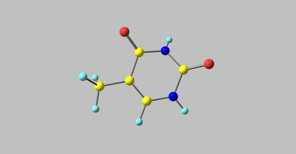 胸腺嘧啶分子的结构上灰色孤立