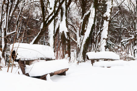 公园里的雪冬