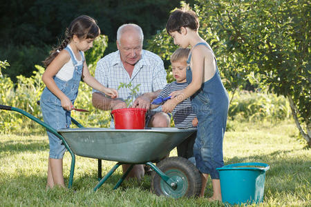 孩子们在花园里帮助她的祖父