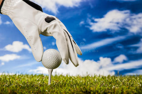 足球, 篮球, 高尔夫球, 排球, 曲棍球, 美