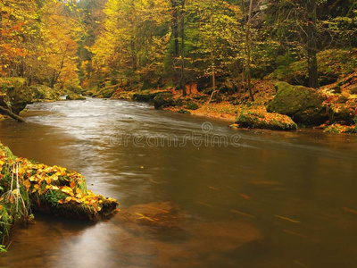 秋波迷离的山河，碧绿青苔的石头，五彩缤纷的秋天