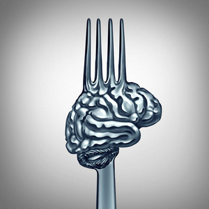 大脑的食物象征
