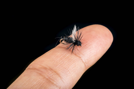 钓鱼上黑色孤立的指尖上的苍蝇图片