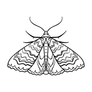 蛾在白色背景上孤立的大纲样式图标。昆虫的符号股票矢量图