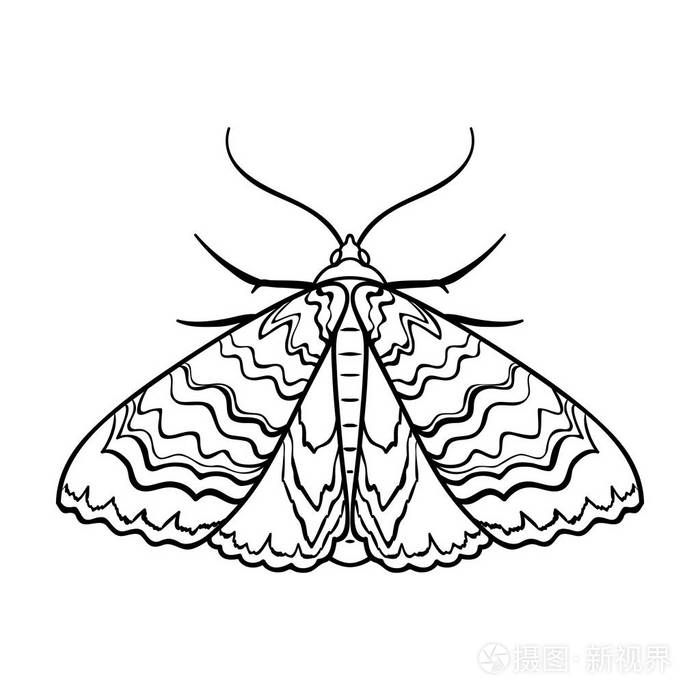 昆虫的符号股票矢量图插画-正版商用图片0w5uqp-摄图新视界
