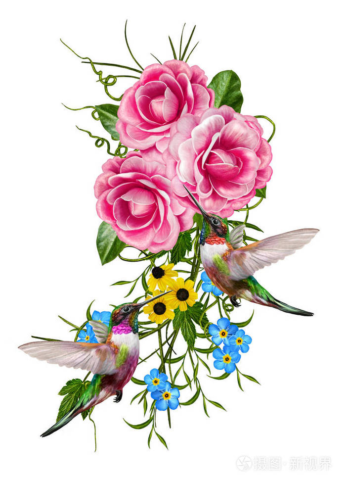 小鸟儿蜂鸟.束粉红玫瑰,绿色叶片的茶花,娇嫩的花朵