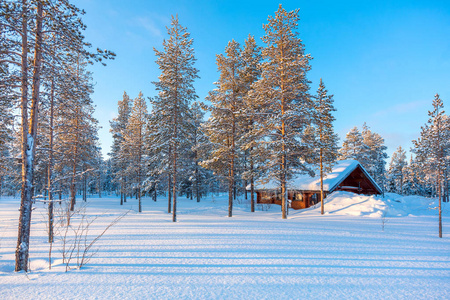 冬天下雪森林景观与小木制小屋