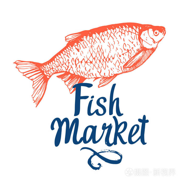 手绘矢量图和陆克文鱼。市场。海鲜菜单。刷的设计元素。手写的墨迹刻字