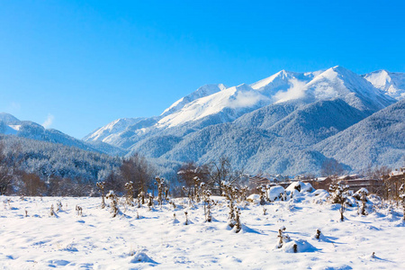 房子和雪山脉全景在保加利亚滑雪胜地班斯克