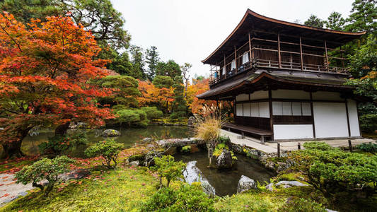 同济同捷寺和秋天的花园 京都照片 正版商用图片0w6aad 摄图新视界