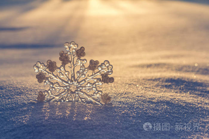 在雪中的雪花