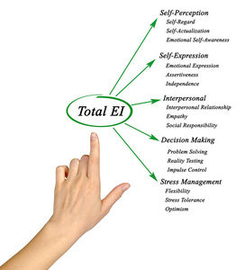 总的情绪智力的关系图